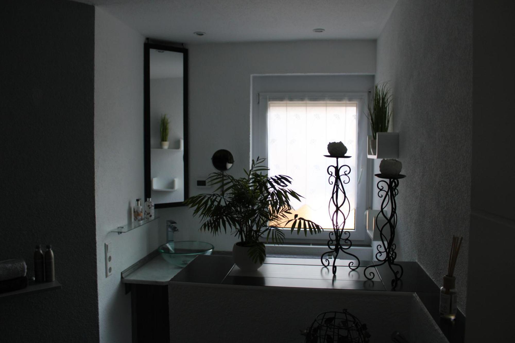 Fewo-Zum Blauenblick Buggingen エクステリア 写真